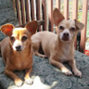 Meet your Posher, Tammy